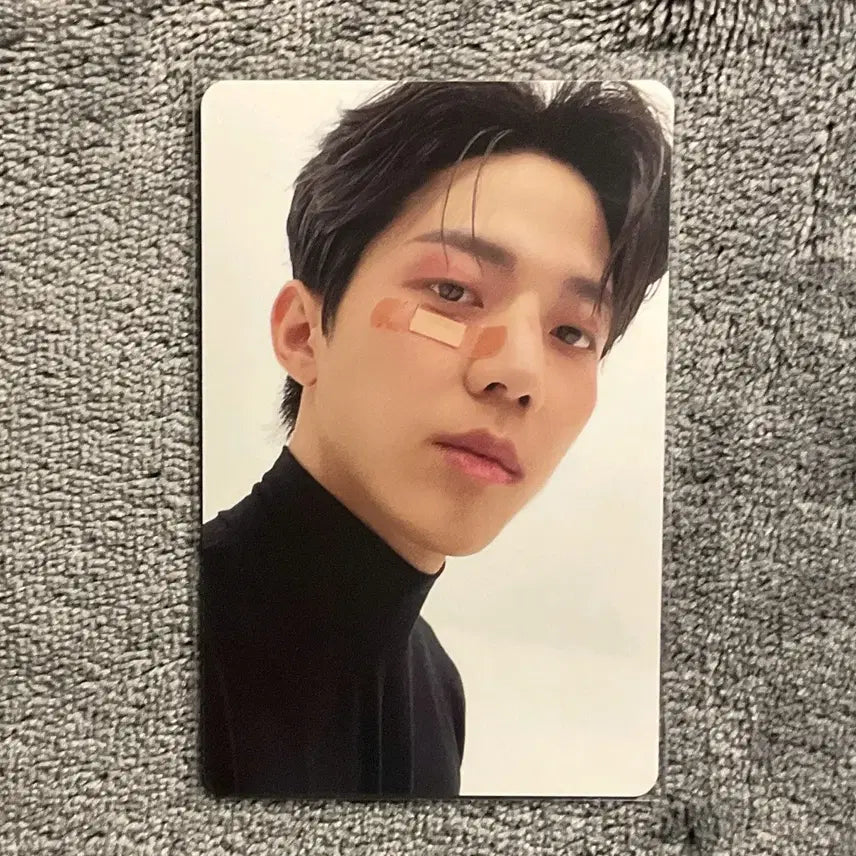 데이식스 밴드에이드 포카 일괄