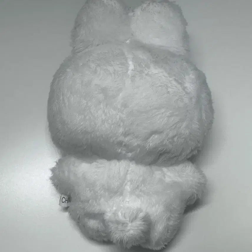 엔시티위시 시온 인형 시온짱