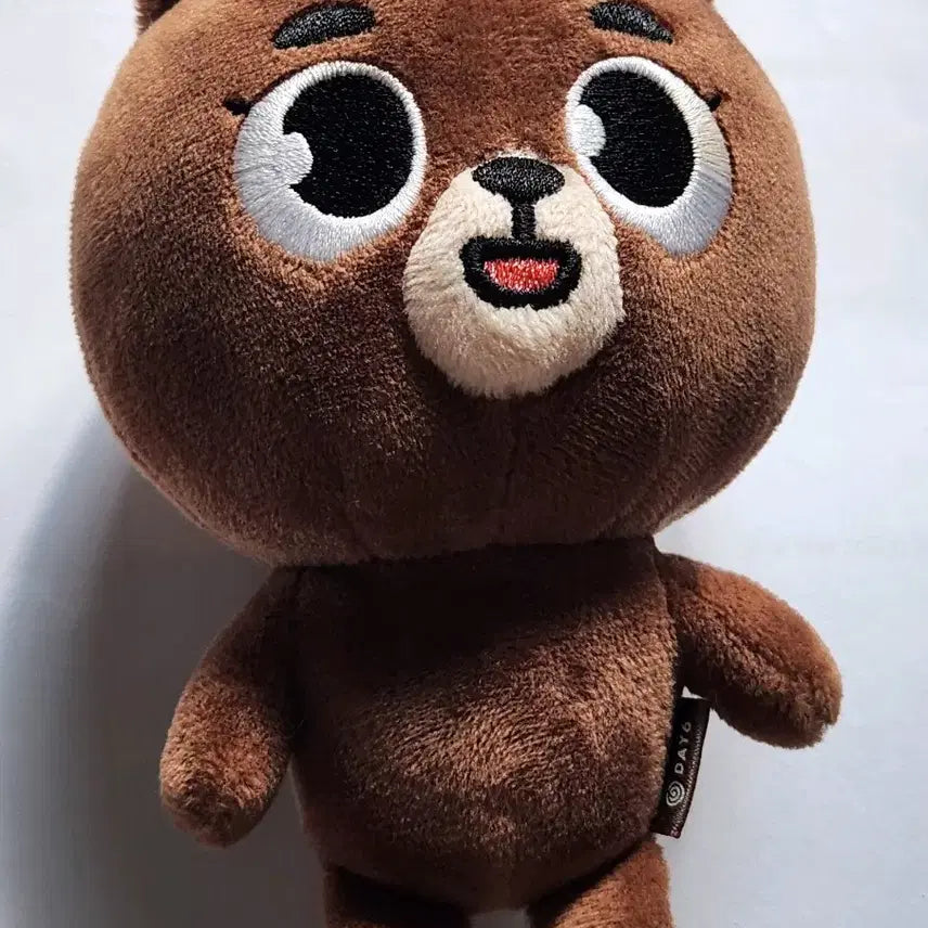 재판x) 데이식스 데니멀즈 2019 방이 성진