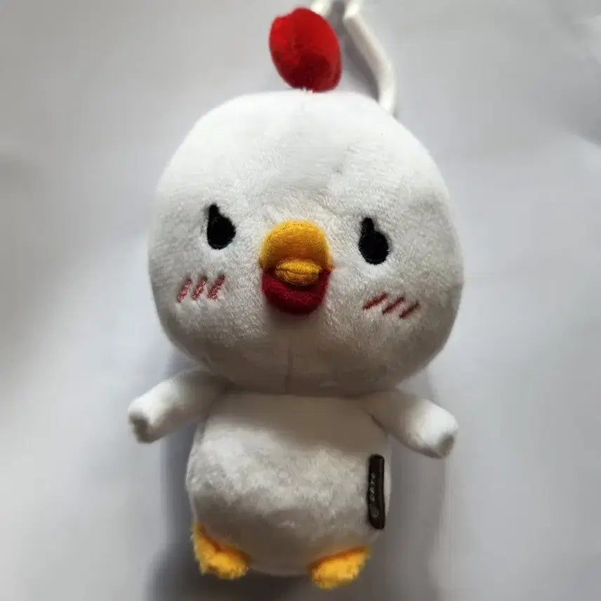 데이식스 데니멀즈 2019 쩨꼬 제이