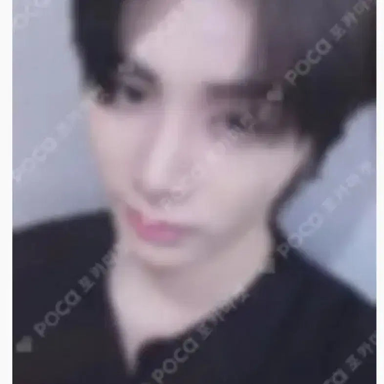 보넥도 태산 롤팔 롤라팔루자 포카 팔아요