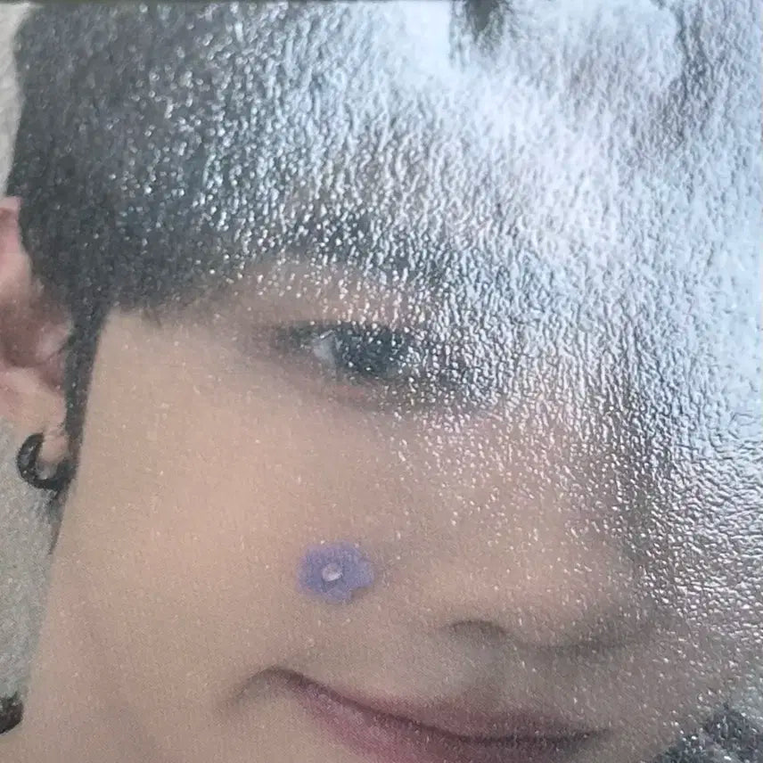 제베원 제로베스원 장하오 포토카드 판매