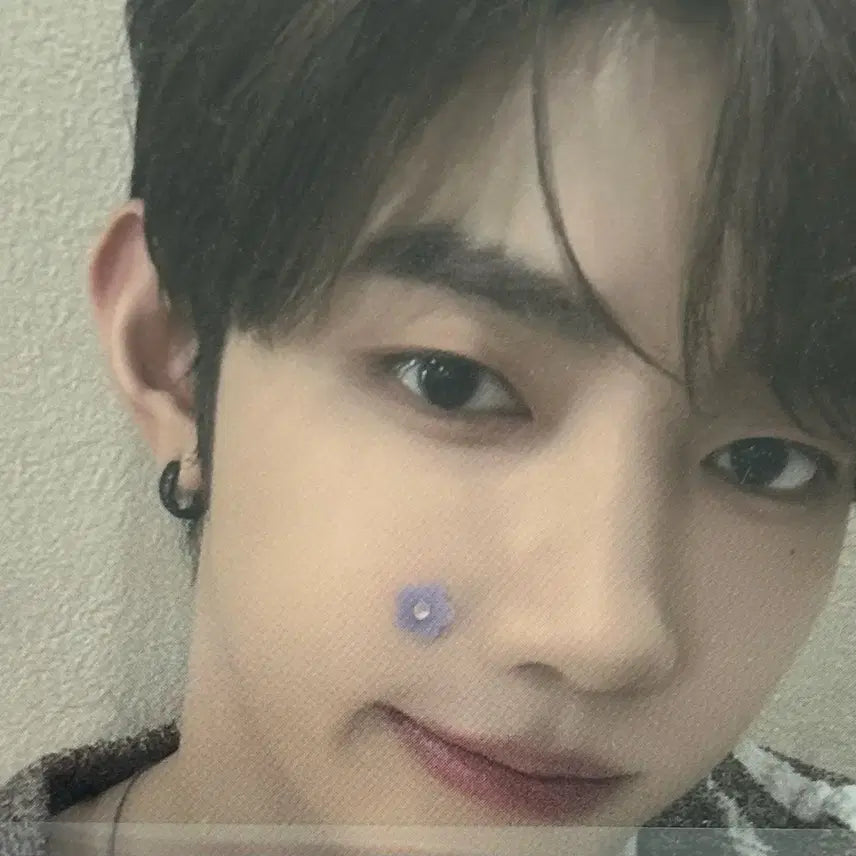 제베원 제로베스원 장하오 포토카드 판매