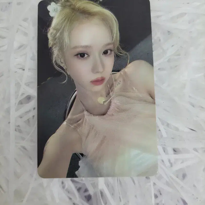 에스파 위플래시 워너뮤직 스토어 윈터 포카 양도