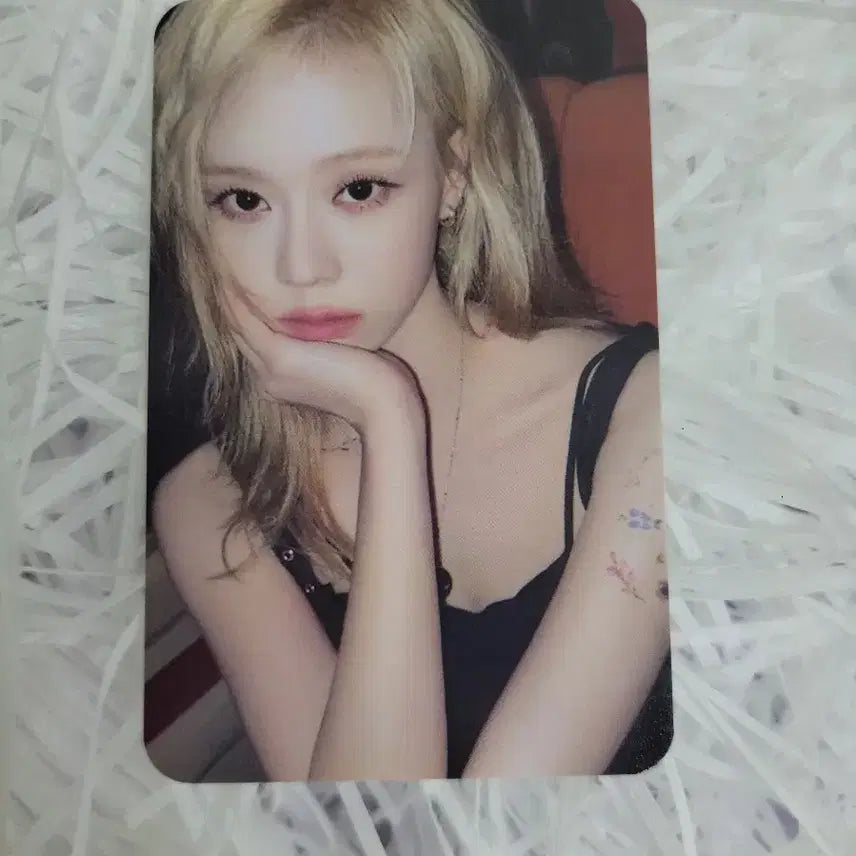 에스파 위플래시 위크 스트렙 윈터 MD 포카 양도