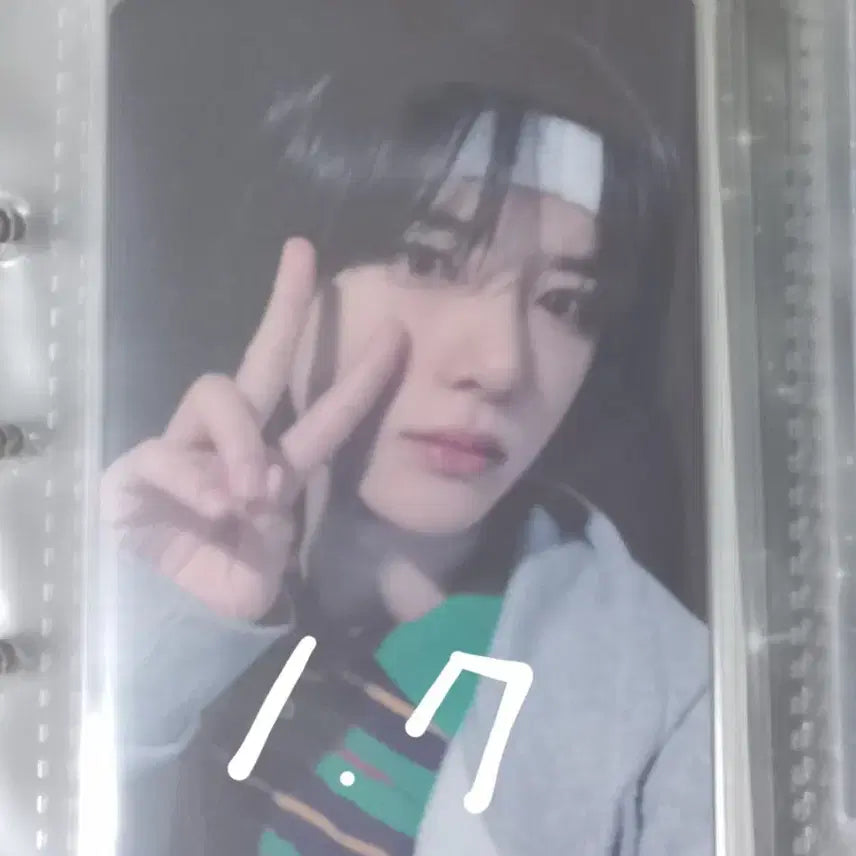 폭덤)))))) 파오이 파스테 범규
