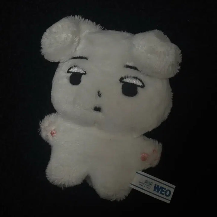 직직이 에스파 윈터 인형