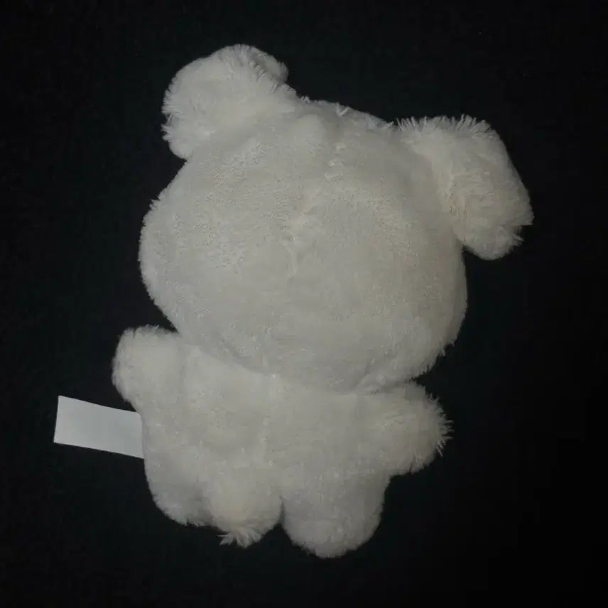 직직이 에스파 윈터 인형