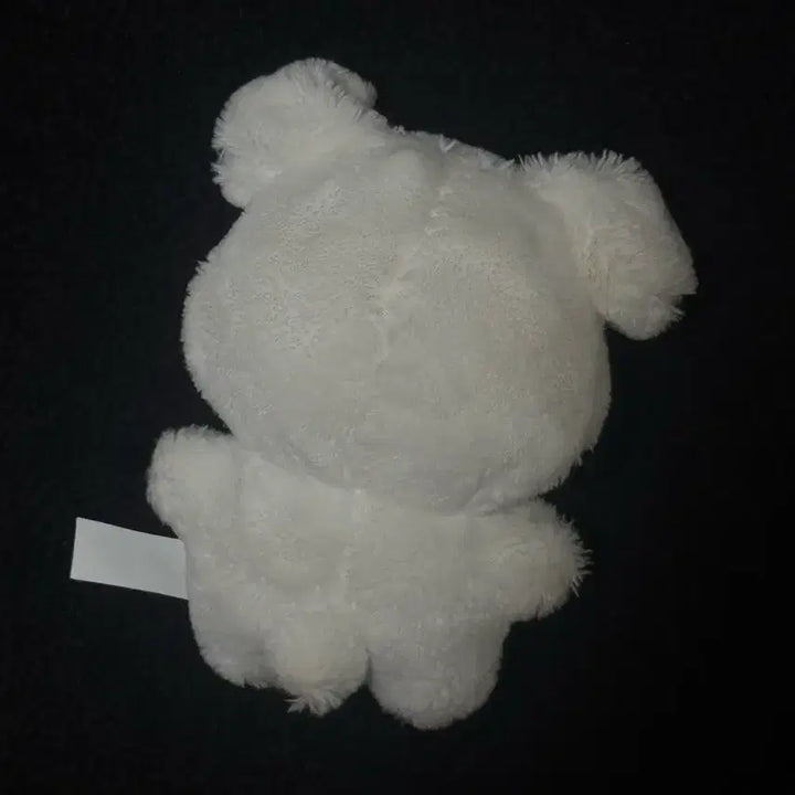 직직이 에스파 윈터 인형