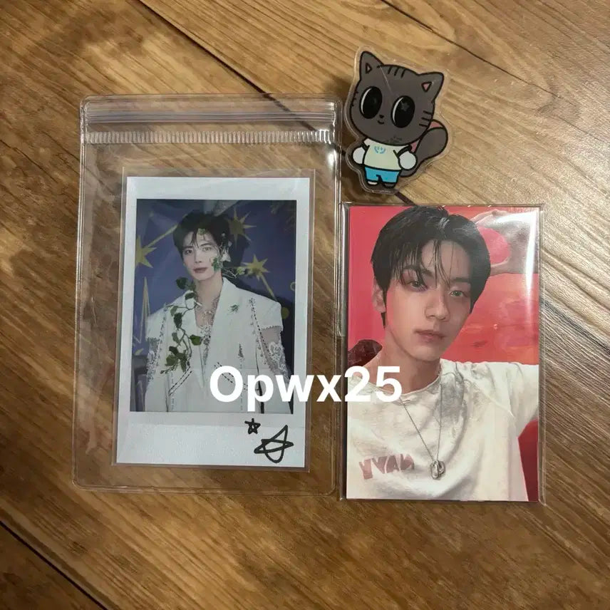 투바투 뷰스 역조공 투게더 공방 포카 태현 폴라 다고냥 아크릴 집게