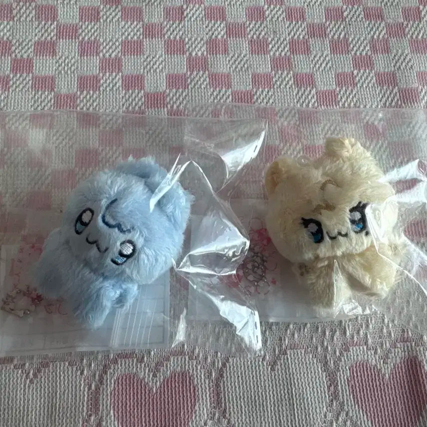 똥글이브5cm