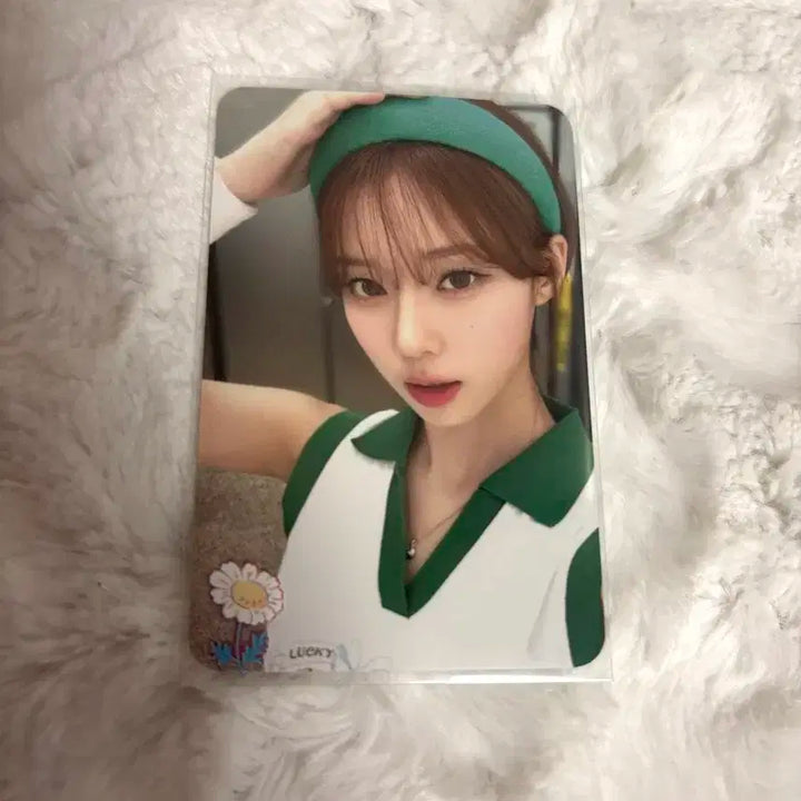 2024시그 윈터 판매