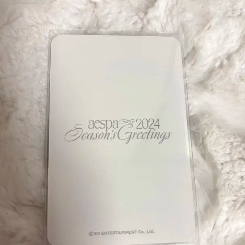 2024시그 윈터 판매