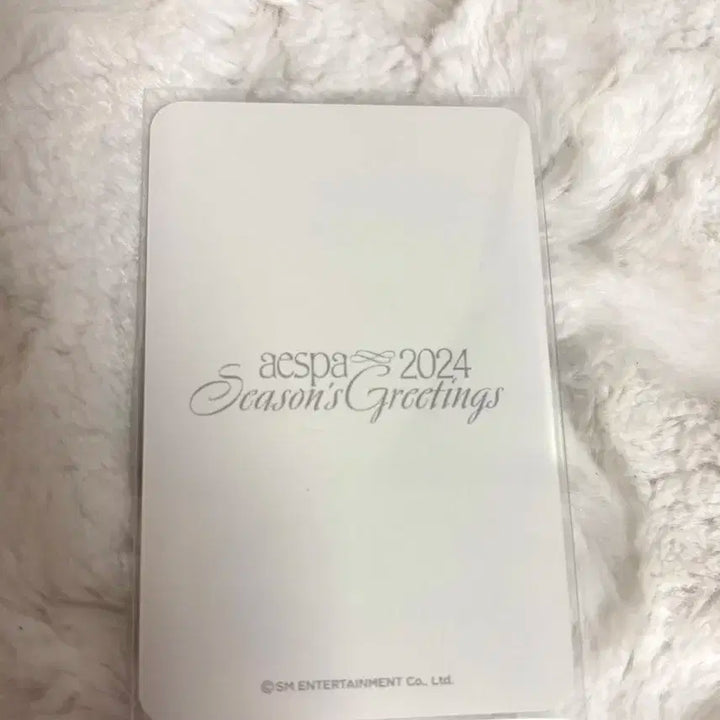 2024시그 윈터 판매