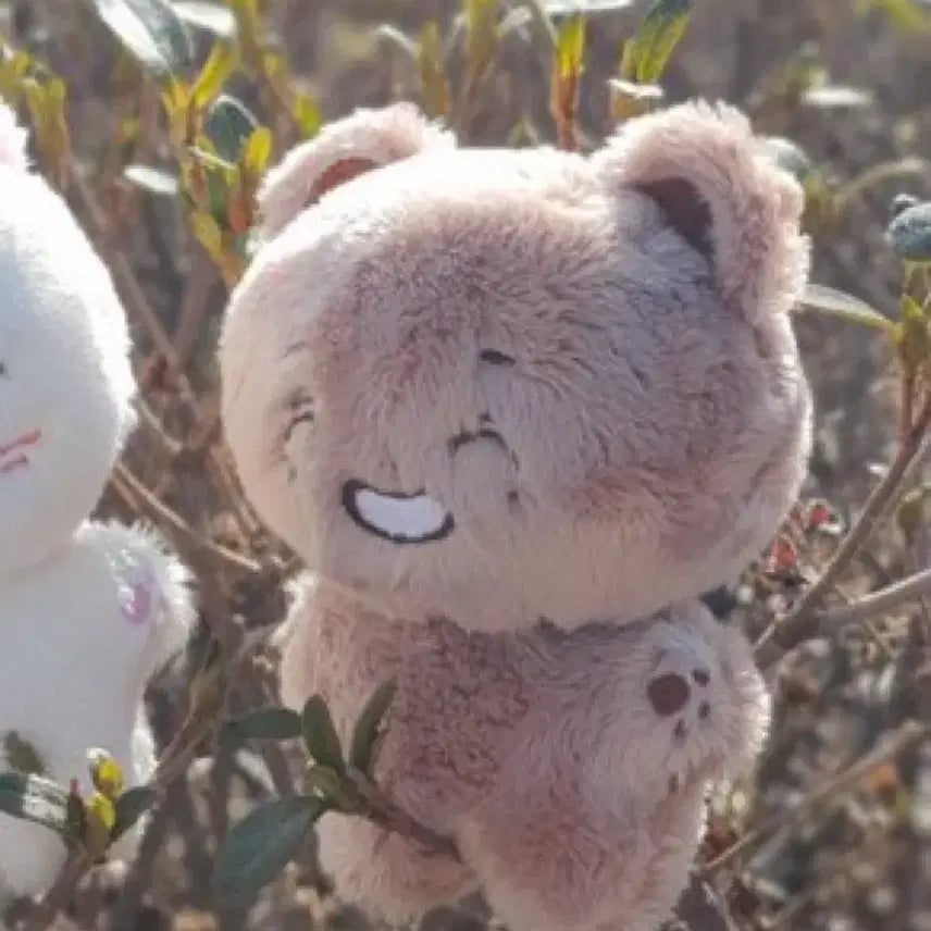 [급처]비투비 임현식 현식 인형 솜식푸 인형 팔아요