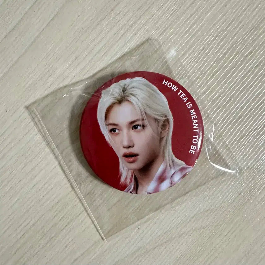 공차 스키즈 필릭스 캔뱃지 양도