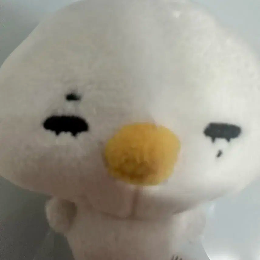 닠만두+입양증
