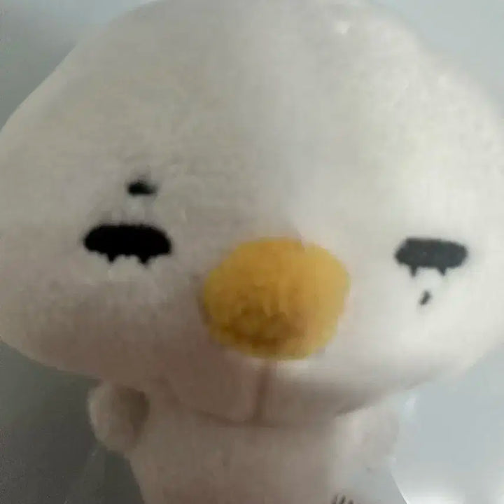닠만두+입양증