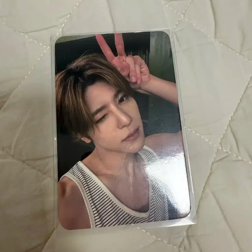 엔시티위시 시온 송버드 마뮤테 포카 양도