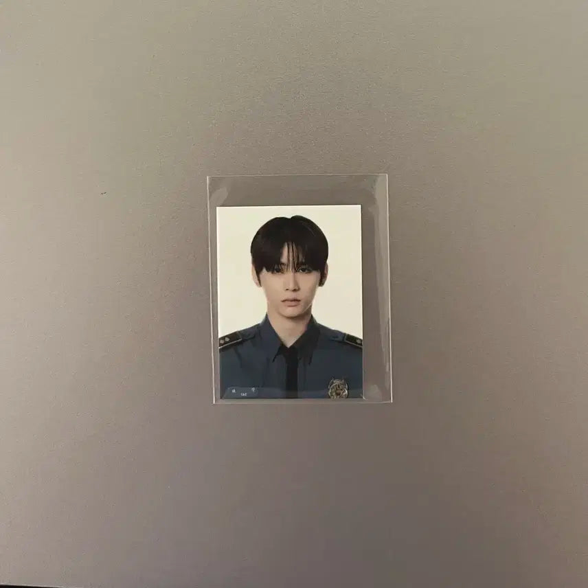 보넥도 멤버십 키트 태산 증사
