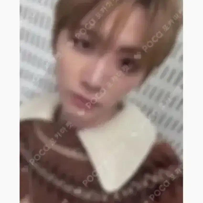 보이넥스트도어 태산 노장르 위버스 특전 오알럽