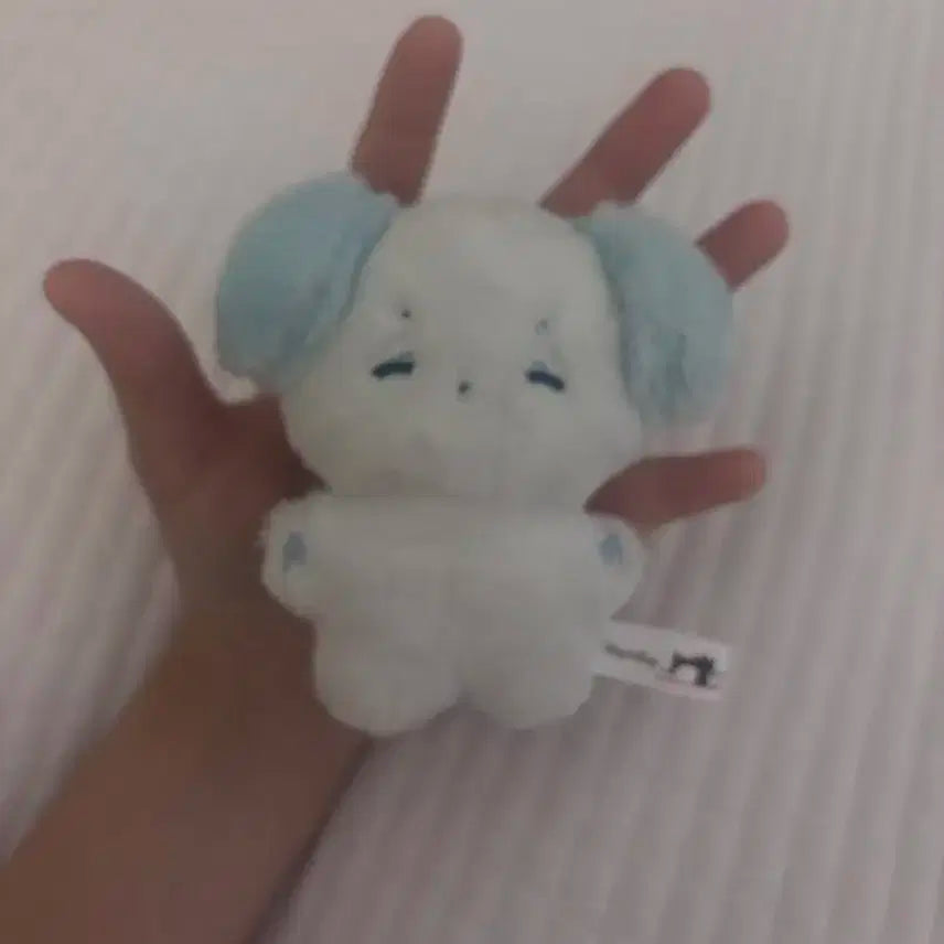 보넥도 보이넥스트도어 명재현 인형 솜재현 양도