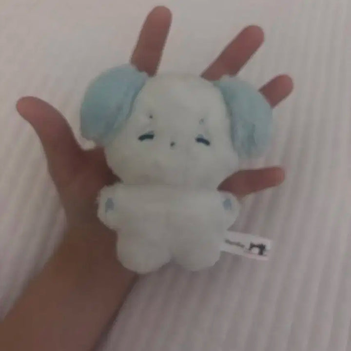 보넥도 보이넥스트도어 명재현 인형 솜재현 양도