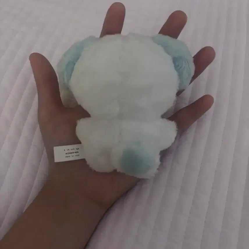 보넥도 보이넥스트도어 명재현 인형 솜재현 양도