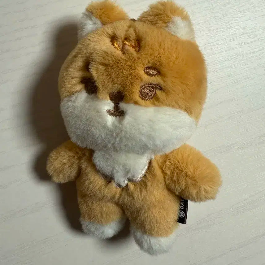 쁘띠멀즈 케 케둥 영케이 데이식스