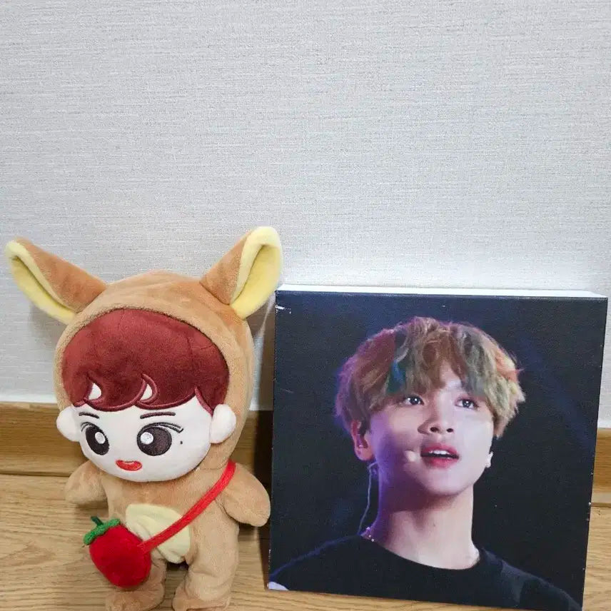 nct해찬 푸두인형