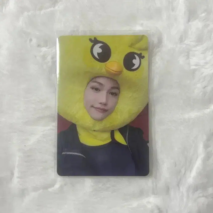 스키즈 필릭스 스키주 맥시던트 짚샵 JYP 샵 미공포 뽁아리 포카 양도