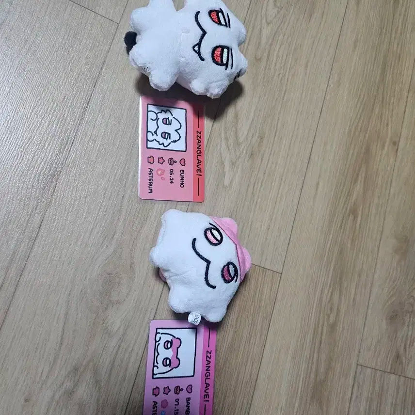 짱레이브 댄라즈