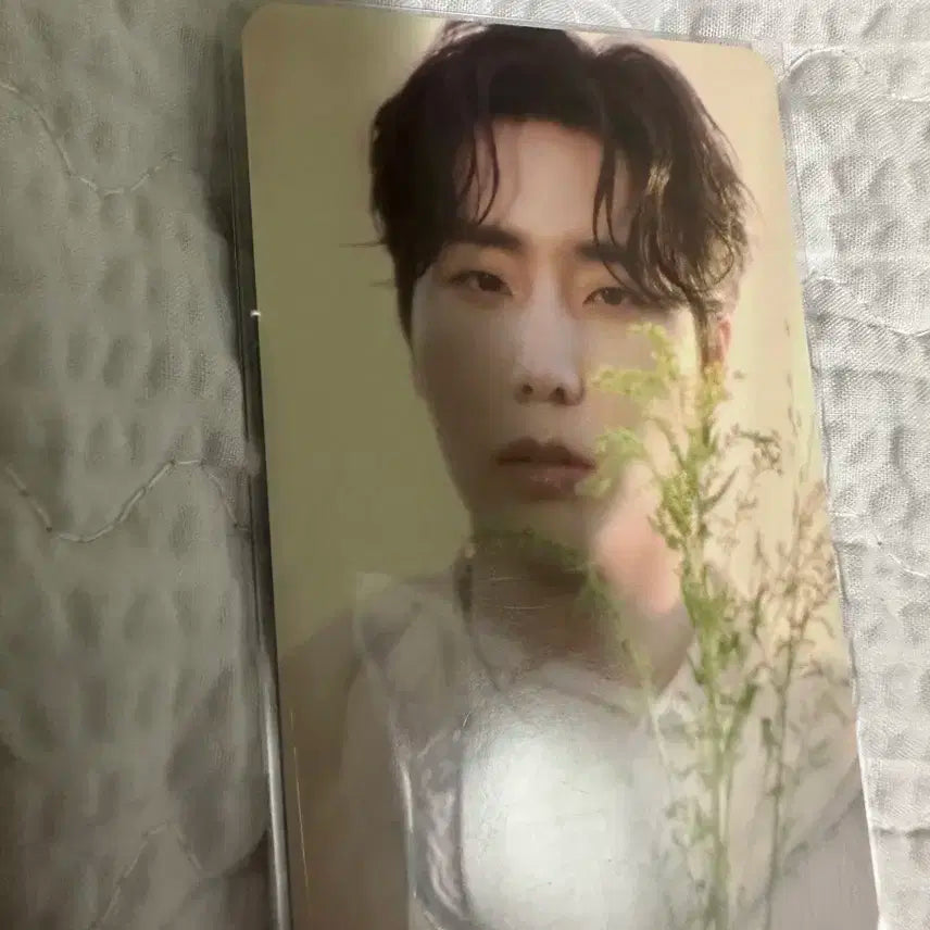 데이식스 10주년 팬미팅 영케이 트레카