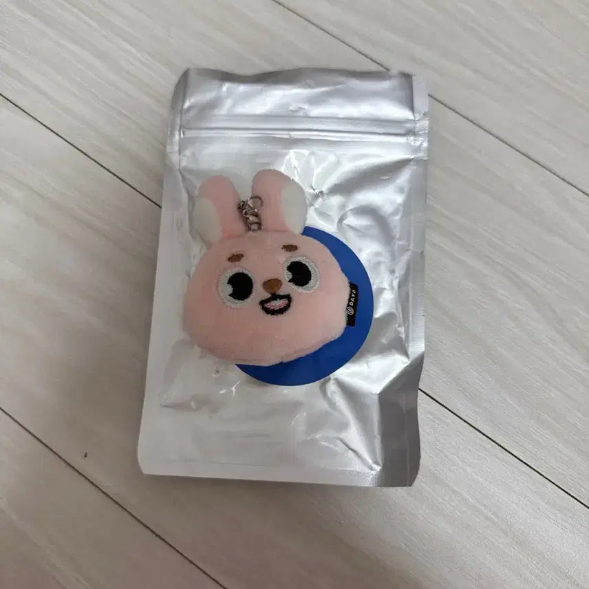 데이식스 미니 페이스 키링 데멀 필 원가이하