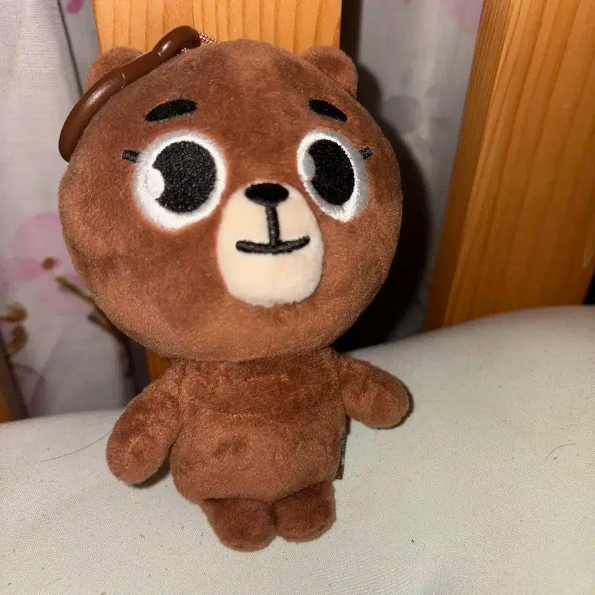 데이식스 데니멀즈 20방 양도합니다