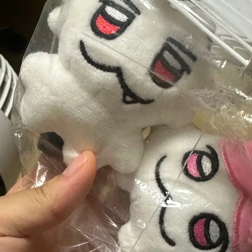 찡레이브 짱은호 짱밤비 일괄