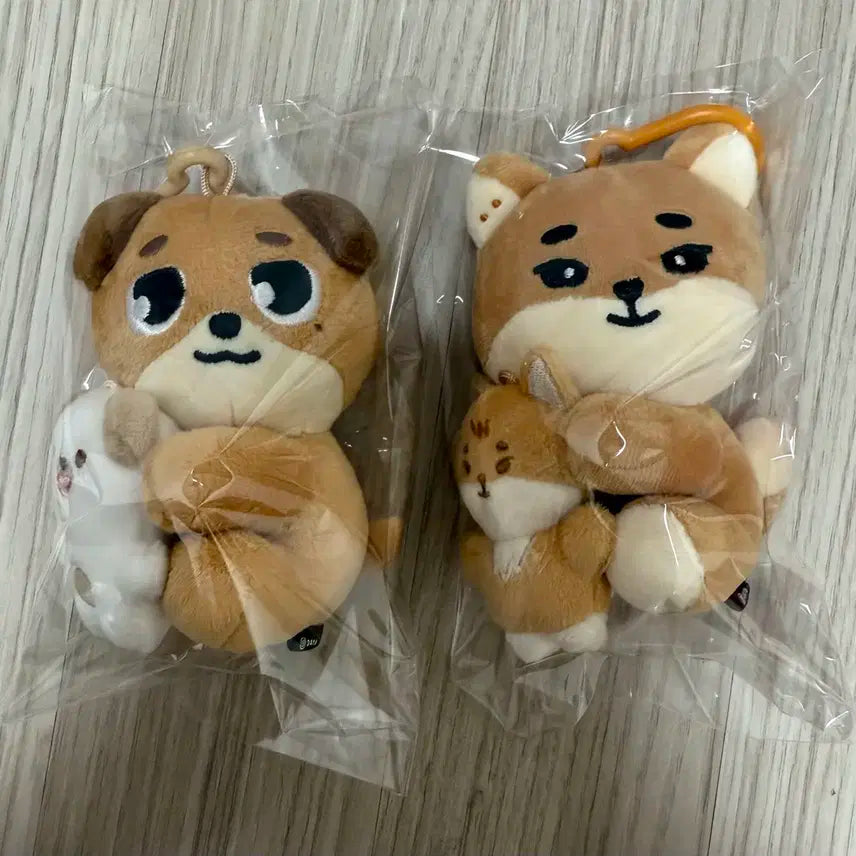 데이식스 데니멀즈 영케이 도운 케 돈