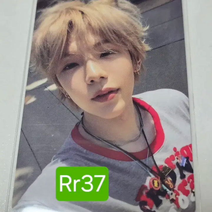 라이즈 쇼타로 오디세이 월마트 미국 앨범 포카