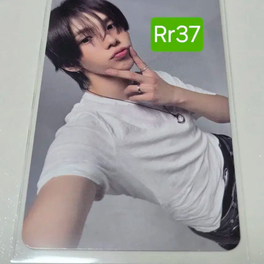 라이즈 쇼타로 오디세이 타겟 미국 앨범 포카