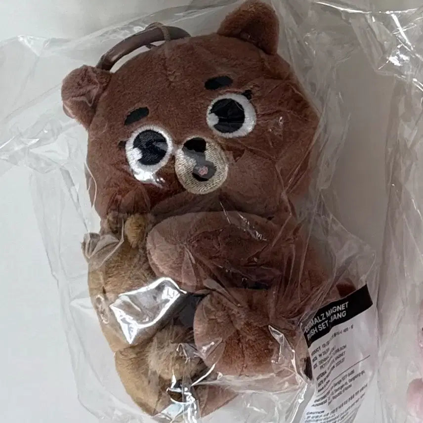 데이식스 데니멀즈 마그넷 방