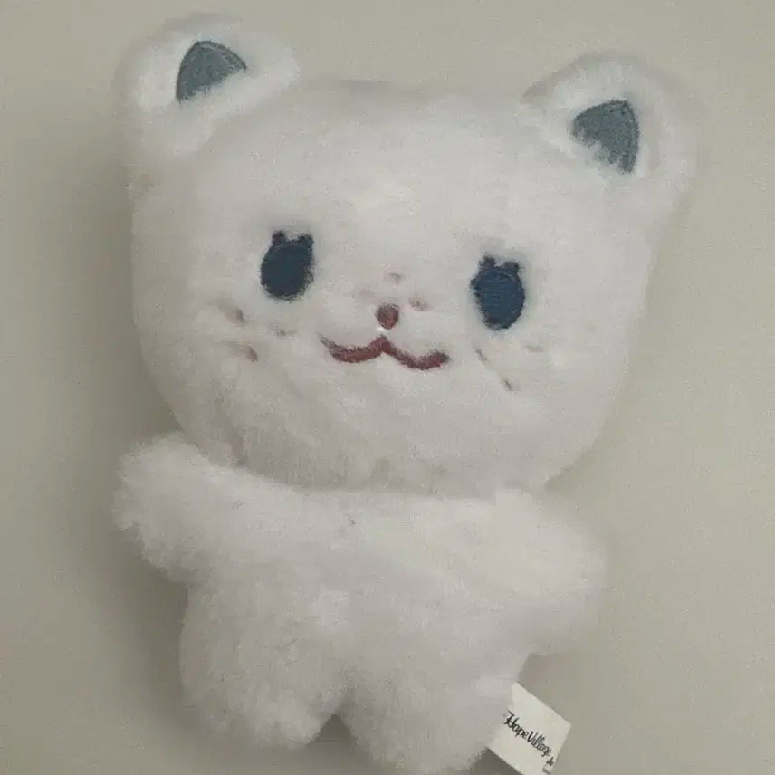 스키즈 필릭스 뽁냥이 입있뽁 skz felix