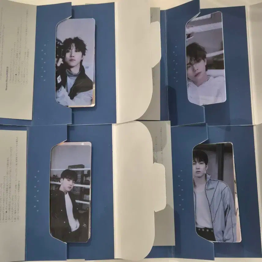 세븐틴 FML위버스반