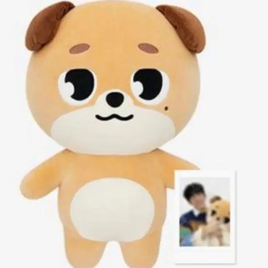 미개봉 ) 데이식스 자이언트 데니멀즈 자멀