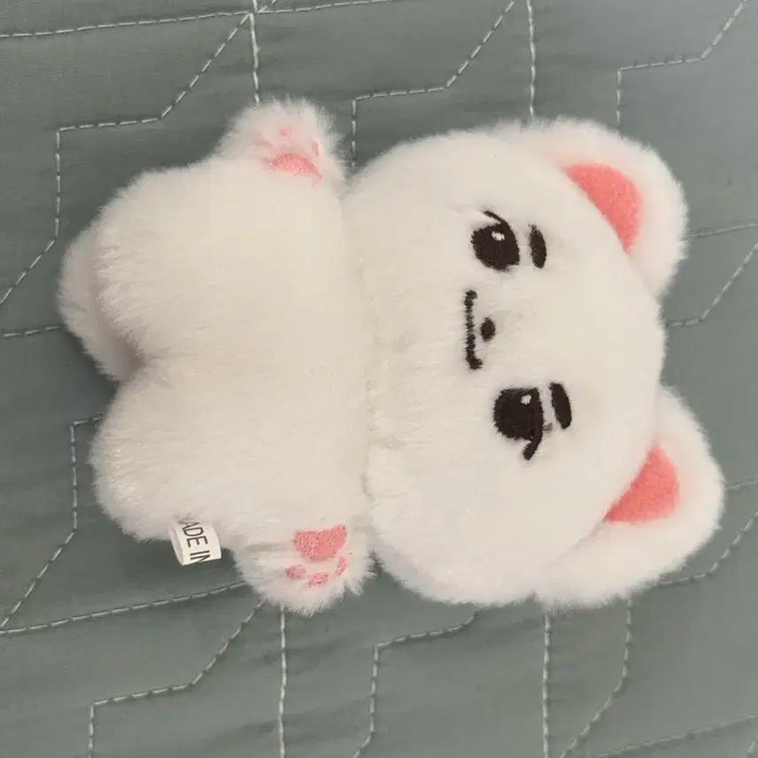 이븐 이정현 인형 쨩이 양도