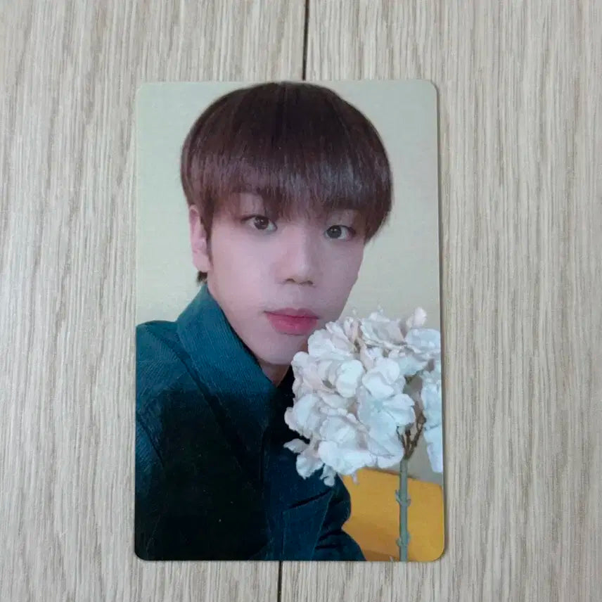 에이스 김병관 발렌타인데이 일본 엠디 포카