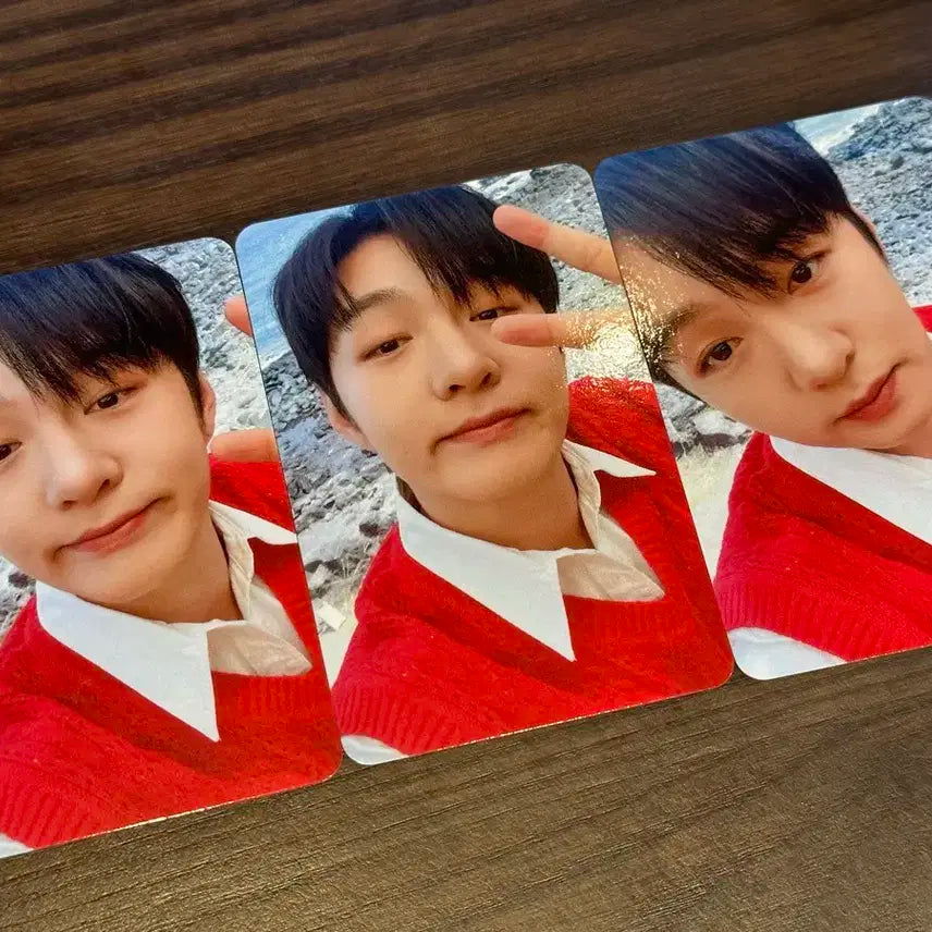 에버라인 대면 미공포 set