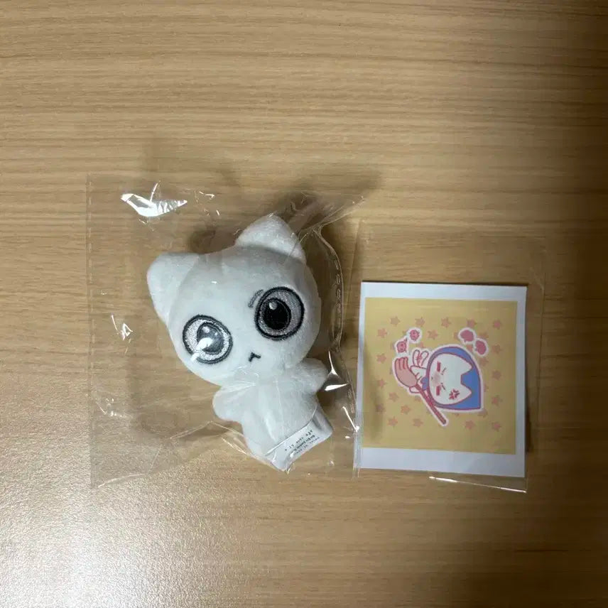 예삐냥 미개봉 보이넥스트도어 보넥도 인형 성호