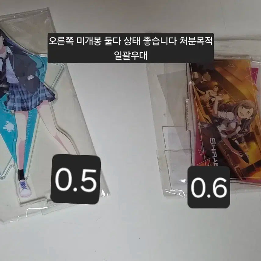시라이시 안 시라안 아크릴 타워레코드 판매