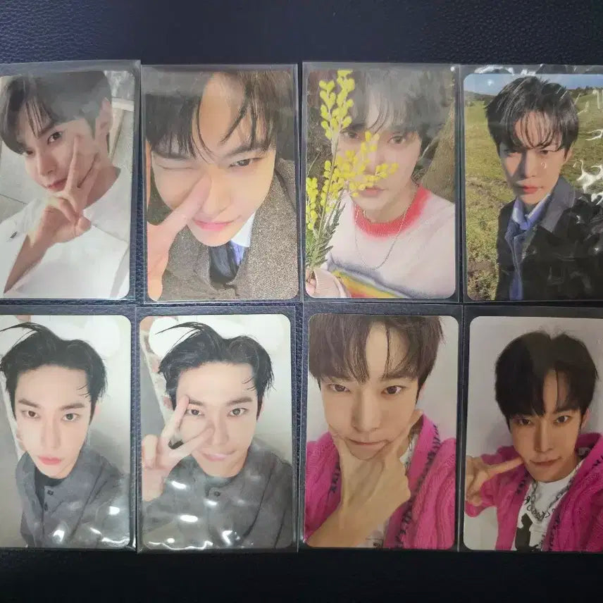 nct 엔시티 127 도영 포카 일괄 양도 판매