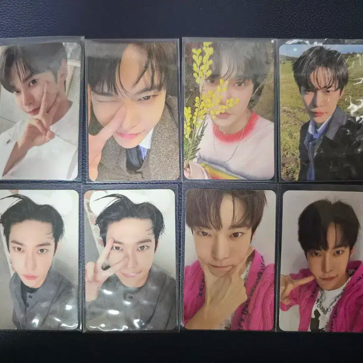 nct 엔시티 127 도영 포카 일괄 양도 판매